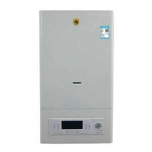 gas heaters for home With Constant Temperature