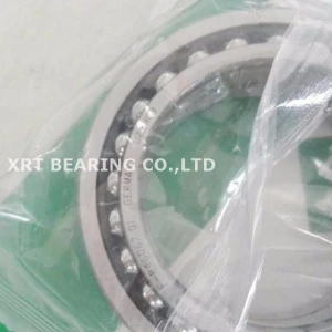 Germany brand  Special bearing F-846067.01 Gearbox bearing for car