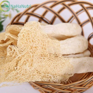 Good Diet Product Natural Bamboo fungus/Dictyophora indusiata extract in bulk
