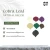 Import Good Quality Cobra Natural Unique Green Dried Cobra Leaf For Home Wedding Decor Leaves from China