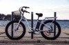 Good Quality Fat Tire Electric Bicycle Ebike, Mobility Bike (ML-FB014)