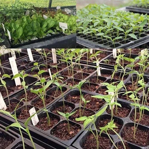 Good quality plastic seed greenhouse mini plant growing seedling tray