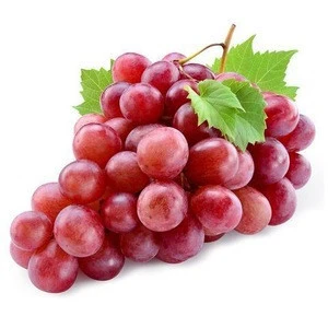Grade A Fresh Red Globe Grapes