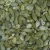 Import Halal Certificate China New Crop Snow White Pumpkin Seed Kernels Wholesale from China
