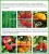 Import high promotion black amino acid npk fertilizer for tomato from China