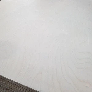 High quality Birch Panel/Commercial Plywood from Vietnam