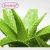 Import high quality cosmetic grade Aloe Vera Gel from China