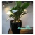 Import High Quality different types plastic flower pots from China