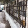 High Quality Garden Decoration Zinc Steel Fence from China Manufacturer Supply