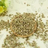 High quality Hemp seeds at low price