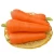 Import High quality organic fresh carrots with vitamin c for export from China