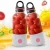 Import High Quality Portable Mini Usb Electric Juicer mini Juicer With Ce  Convenient juicing cup from China
