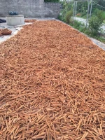 High Quality Square cut Cassia Single Herbs And Condiment  Cassia Or Cinnamon Sticks Made in Vietnam Spices