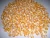 Import HIGH QUALITY YELLOW CORN from South Africa
