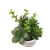 Import High Simulation Mini Artificial Faux Succulent Plants with withe soil pots for Garden Decoration from China