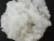 Import hollow conjugated polyester staple fiber fiber from China