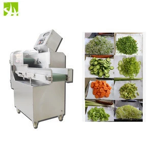 Holtec 2019 New Designed Hight efficiency Full 304SS  YQC-Y900 Vegetable Cutting Machine for Vegetable processing plant
