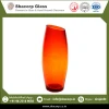 Home Decorative Best Design Glass Vase