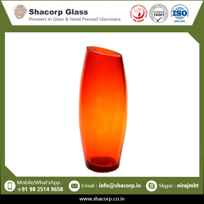 Home Decorative Best Design Glass Vase