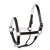 Import Horse Leather Halter Supplier India from India