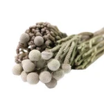 Hot Products Coral Fruit Preserved Flower For Room Decoration