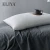 Import Hot Sale 1200g Microfiber 5 Star Luxury Hilton Hotel Pillow For Sleeping from China