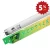 Import Hot sale energy saving 15W 18W 36W 58W t8 fluorescent tube lamp from China