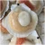 Import Hot sale fresh frozen half shell sea scallop with roe from China