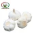 Import [Hot Sale] Garlic price/Fresh Garlic specification from China