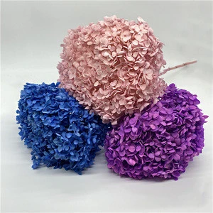 Hot sale high quality room wall decoration Valentine&#39;s Day preserved hydrangea with stem hydrangea flower
