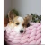 Import Hot sale  portable dog pet plush mat dog cat mat from China