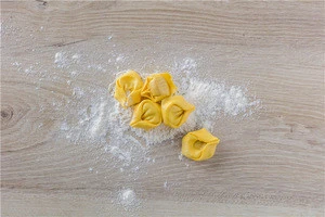 Hot sale produzione tortelli with pumpkin pasta integrae production packaging