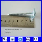 Hot Sale Umbrella Head Roofing Nail (Factory)