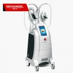 Hot selling cryo slimming ETG15-4 cryolipolysis machine fat freezing liposuction