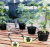 Import hot selling flower home garden drip irrigation system bag from China