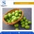Import Hot Selling Premium Quality Wholesale Fresh Fruit Green Olives from South Africa