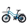 Hottech 20 inch 36v 250w city Ebike electric bike bicycle
