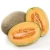Import Hybrid F1 Best Quality Melon Seeds Vegetable Seeds Rui Li 17 from China