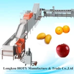 Industrial lemon processing line/ lemon fruit sorting washing drying waxing machine