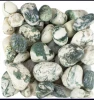 Latest 2021 Tree Agate Tumble Stone Semi-Precious Stone Crafts By AS Agate Stone