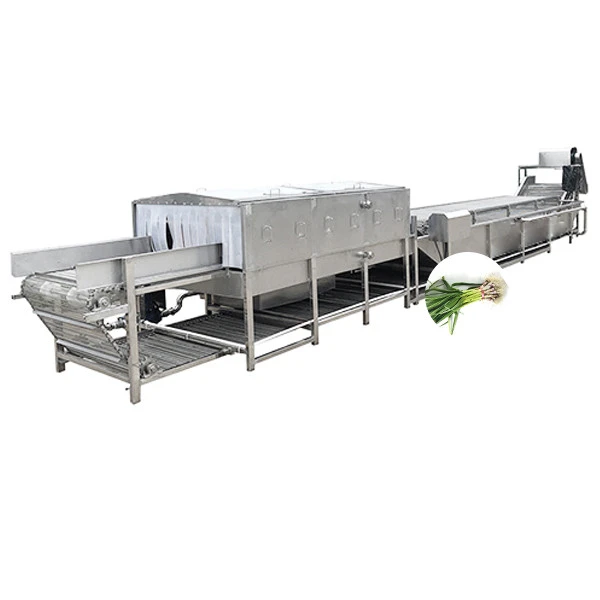 Li-Gong Fruit and Vegetable Processing Equipment Vegetable Cleaner Bubble Cleaning Machine