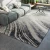 Import Light luxury 3D printed art carpets with modern style hotel carpets living room carpet from China