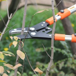 Long Handle Bypass Lopper Pruning Shear Branches, Pruner Cutting Shears