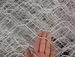 Low-Carbon Iron Wire Material gabion mesh