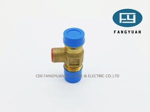 LPG Gas Cylinder for Safety Cap Valves with Cap FY-CV-11