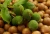 Import Macadamia Nuts Wholesale from South Africa