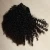 Import Malaysian virgin afor kinky curly bulk human hair weaving wholesale in south africa from China