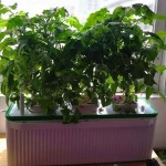 Manufacturer plastic flower pot trays rectangular