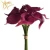 Import Manufacturers direct simulation horseshoe calla lily artificial wedding home decoration hand flowers from China