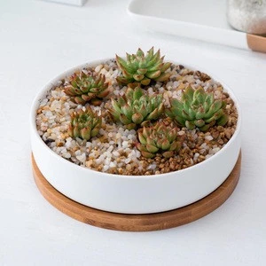 modern wholesale white succulent pots ceramic plant flower pots with bamboo tray